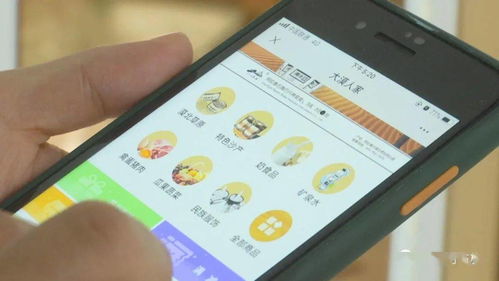 阿右旗 打造電商產業鏈，助力特色產品行穩致遠
