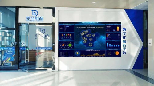 輝南縣考察組赴浙江麗水考察學習電子商務工作